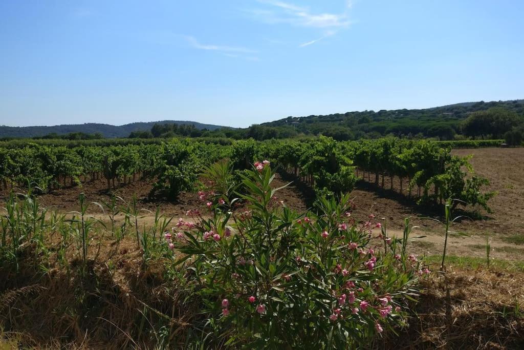 Appartamento Les Vignes Et La Pinede Pres De La