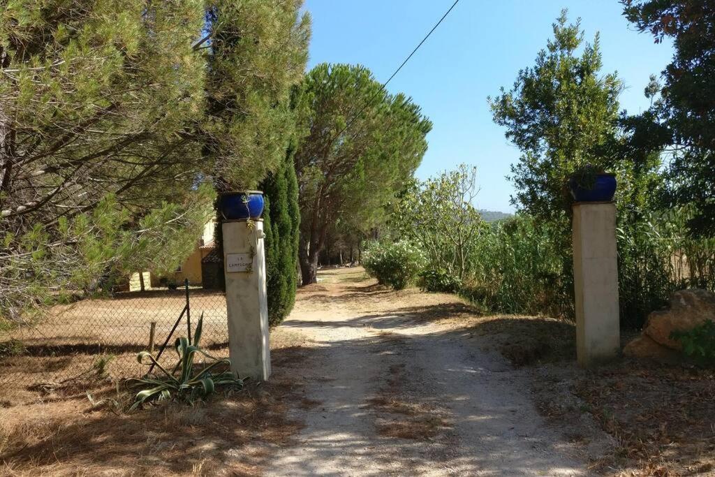 Les Vignes Et La Pinede Pres De La Appartamento *